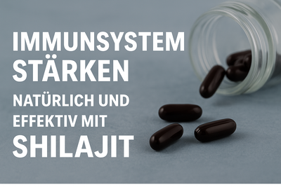 Immunsystem stärken – natürlich und effektiv mit Shilajit