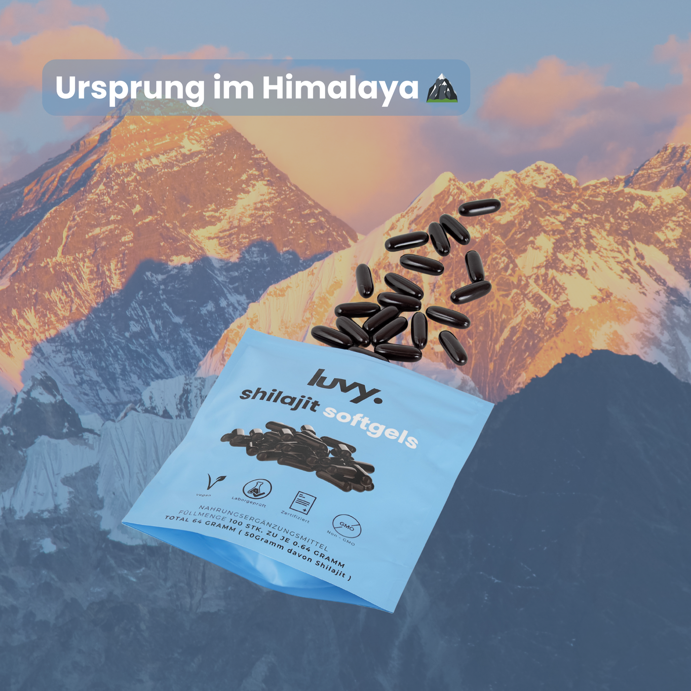 Shilajit-Softgels